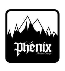 Logo Swallow Freeride